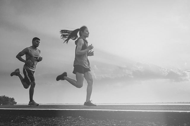 Vix tale noluisse voluptua ad ne